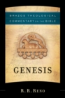 Genesis (Brazos Theological Commentary on the Bible) - eBook