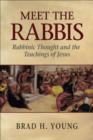 Meet the Rabbis : Rabbinic Thought and the Teachings of Jesus - eBook