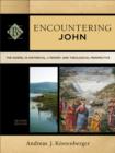 Encountering John (Encountering Biblical Studies) : The Gospel in Historical, Literary, and Theological Perspective - eBook