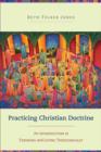 Practicing Christian Doctrine : An Introduction to Thinking and Living Theologically - eBook
