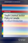 Youth Criminal Justice Policy in Canada : A Critical Introduction - eBook