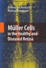 Muller Cells in the Healthy and Diseased Retina - eBook