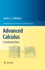 Advanced Calculus : A Geometric View - eBook