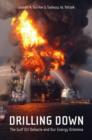Drilling Down : The Gulf Oil Debacle and Our Energy Dilemma - eBook