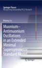 Muonium-antimuonium Oscillations in an Extended Minimal Supersymmetric Standard Model - eBook