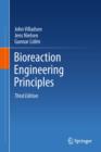 Bioreaction Engineering Principles - eBook