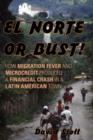 El Norte or Bust! : How Migration Fever and Microcredit Produced a Financial Crash in a Latin American Town - Book