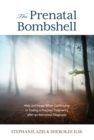 Prenatal Bombshell : Help and Hope When Continuing or Ending a Precious Pregnancy After an Abnormal Diagnosis - eBook