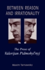 Between Reason and Irrationality - eBook