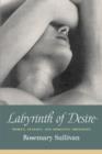 Labyrinth of Desire - eBook