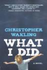 What I Did - eBook