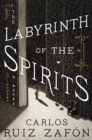 The Labyrinth of the Spirits : A Novel - eBook
