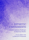 None Esthetic Experiments : Interdisciplinary Challenges in American Studies - eBook