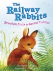 Railway Rabbits: Bracken Finds a Secret Tunnel : Book 5 - eBook