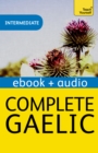 Complete Gaelic Beginner to Intermediate Book and Audio Course : Learn to read, write, speak and understand a new language with Teach Yourself - eBook