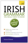 Irish Grammar You Really Need to Know: Teach Yourself - Book