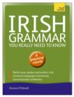 Irish Grammar You Really Need to Know: Teach Yourself - eBook