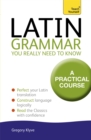 Latin Grammar You Really Need to Know: Teach Yourself - Book
