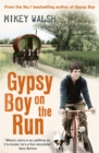 Gypsy Boy on the Run - Book