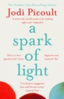 A Spark of Light : The must-read, heart-stopping pick for summer 2022 - Book