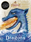 How to Train Your Dragon: Incomplete Book of Dragons - Book