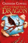 How to Train Your Dragon : Book 1 - eBook