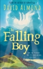 The Falling Boy - eBook