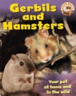 Gerbils and Hamsters - Book