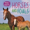 Animals and their Babies: Horses & foals - Book