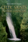 Celtic Saints In Their Landscape - Book