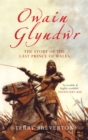 Owain Glyndwr : The Story of the Last Prince of Wales - eBook