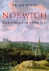Norwich Archaeology of a Fine City - eBook