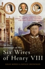 In the Footsteps of the Six Wives of Henry VIII : The visitor’s companion to the palaces, castles & houses associated with Henry VIII’s iconic queens - Book