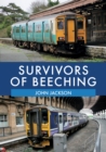 Survivors of Beeching - eBook