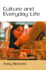 Culture and Everyday Life - eBook