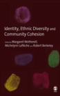 Identity, Ethnic Diversity and Community Cohesion - eBook