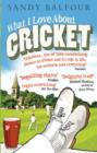 What I Love About Cricket : One Man's Vain Attempt to Explain Cricket to a Teenager who Couldn't Give a Toss - eBook