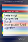 Lossy Image Compression : Domain Decomposition-Based Algorithms - eBook
