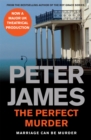The Perfect Murder - Book