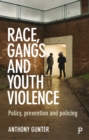 Race, gangs and youth violence : Policy, prevention and policing - eBook
