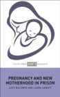 Pregnancy and New Motherhood in Prison - eBook
