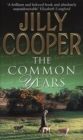 The Common Years - eBook