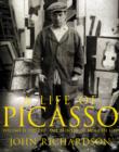 A Life of Picasso Volume II : 1907 1917: The Painter of Modern Life - eBook