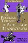 The Peculiar Triumph Of Professor Branestawm - eBook