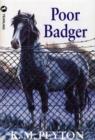 Poor Badger - eBook