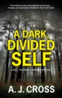 Dark, Divided Self, A - eBook