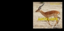 Antelope - eBook