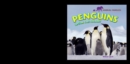 Penguins : Life in the Colony - eBook