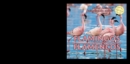 Flamingos / Flamencos - eBook