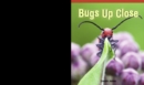 Bugs Up Close - eBook